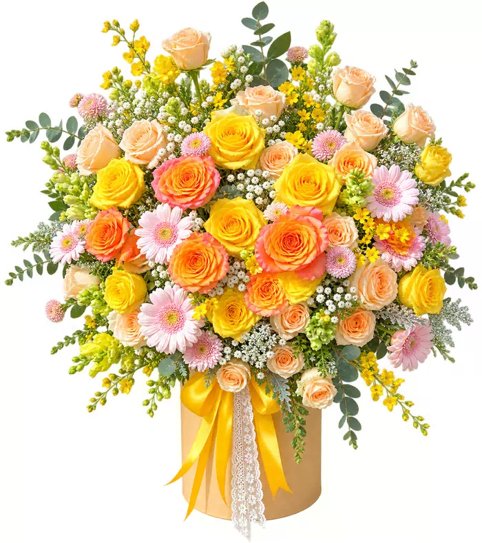 Hộp hồng cam vàng