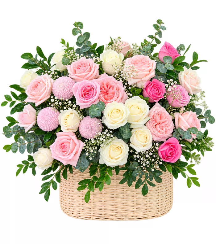 Giỏ hồng phấn phối cúc