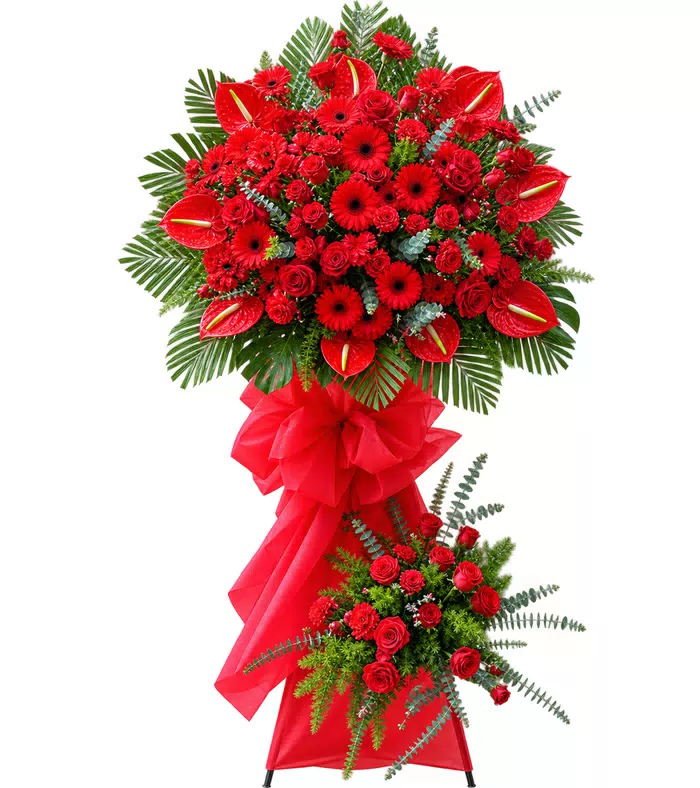 Kệ đồng tiền đỏ