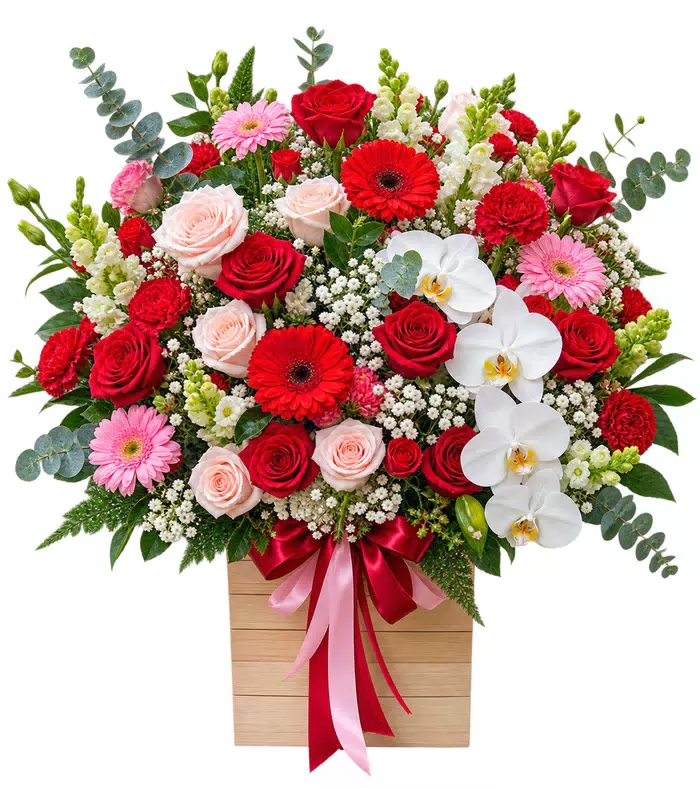 Hộp hồng đỏ lan trắng