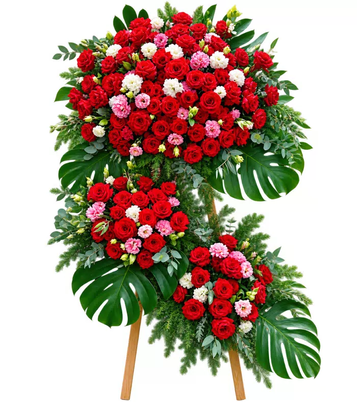 Kệ hồng đỏ phấn ba cụm