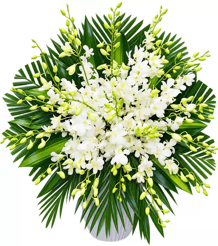 Giỏ hoa viếng lan trắng