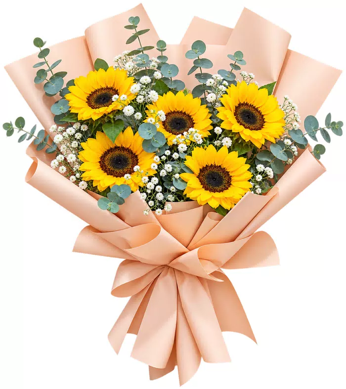 Bó hướng dương giấy cam nhạt