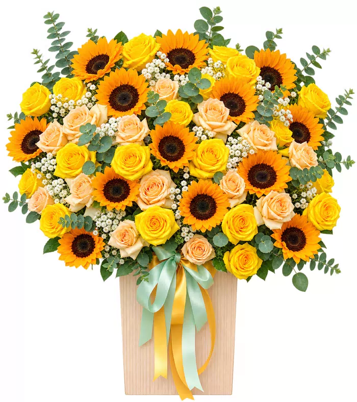 Hộp hướng dương hồng vàng