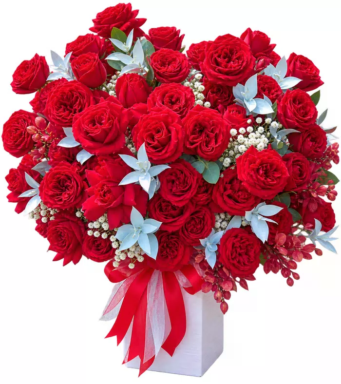 Hộp hồng đỏ dáng tròn