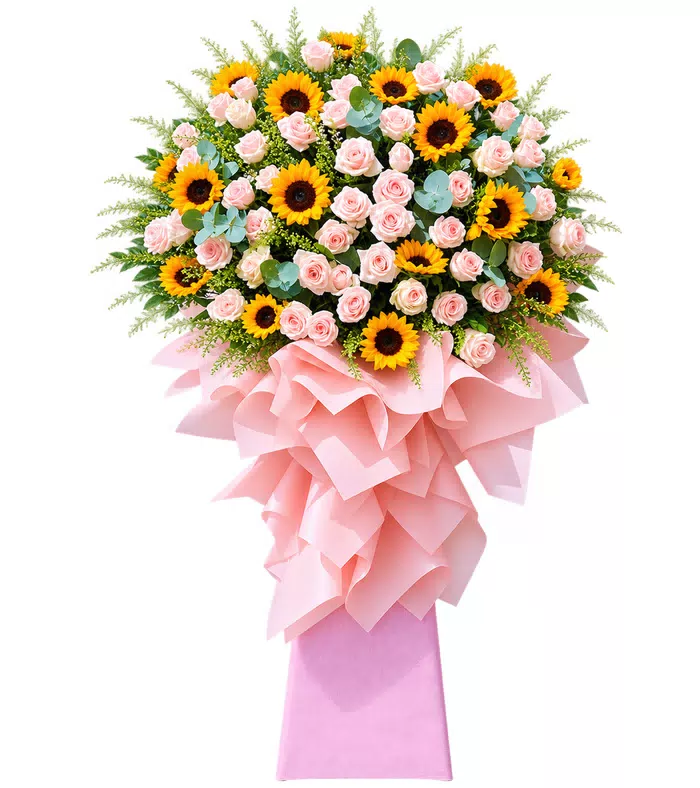 Kệ hướng dương hồng phấn