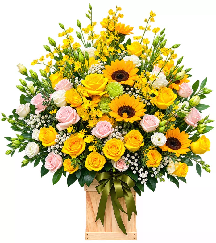 Hộp hướng dương hồng vàng