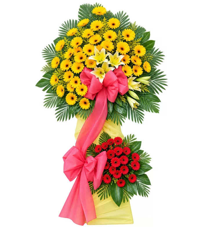 Kệ hướng dương hai tầng