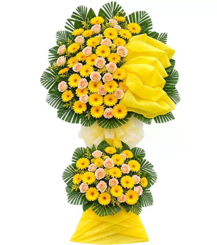 Kệ đồng tiền vàng hồng