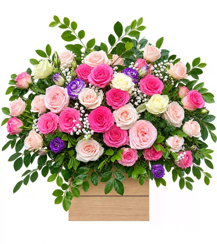 Hộp hồng phấn phối hoa tím