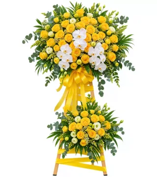 Kệ hoa vàng lan trắng