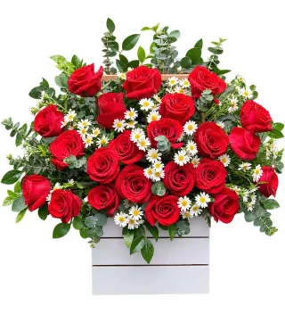 Hộp hồng đỏ cúc trắng