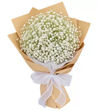 Bó baby trắng giấy kraft