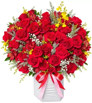 Hộp hồng đỏ phối lan vàng