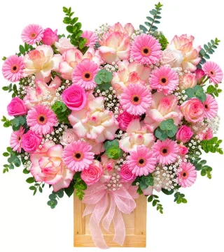 Giỏ hồng phấn đồng tiền