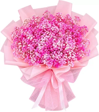 Bó baby hồng đậm