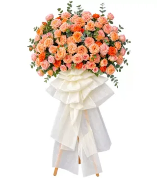 Kệ hồng cam dáng tròn