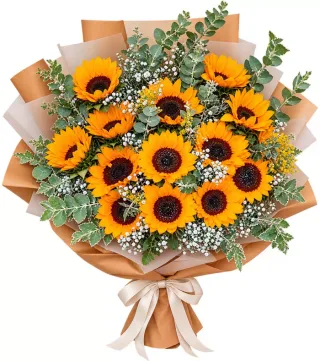 Bó hướng dương phối lá bạc