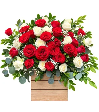 Hộp hồng đỏ kem