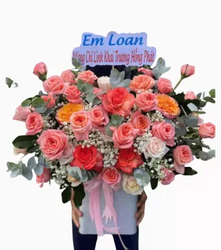 Hộp hồng san hô