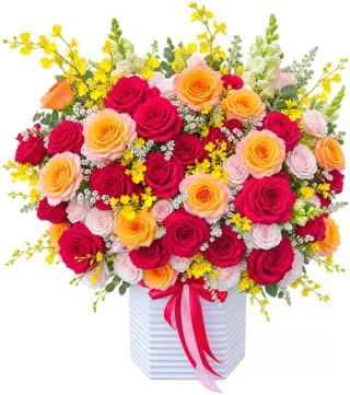 Hộp hồng đỏ cam