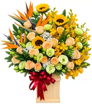 Hộp hướng dương thiên điểu