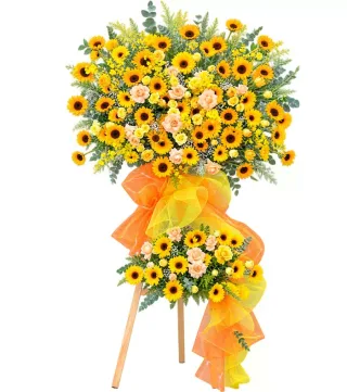 Kệ hướng dương hai tầng