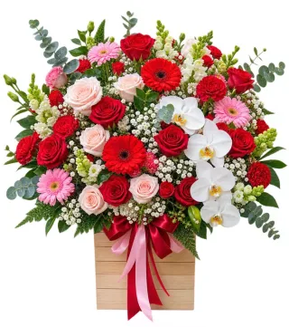 Hộp hồng đỏ lan trắng