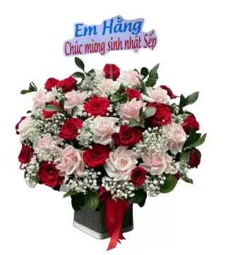 Hộp hồng đỏ và hồng phấn