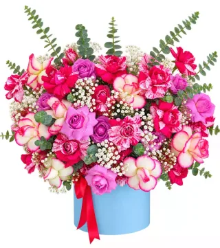 Hộp hoa hồng tím phối màu