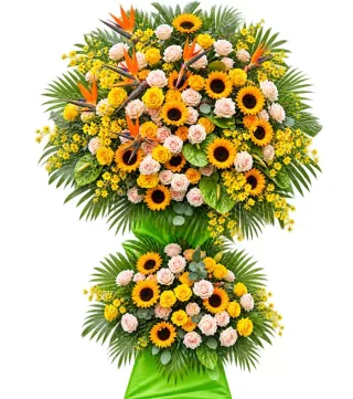 Kệ hướng dương hồng cam