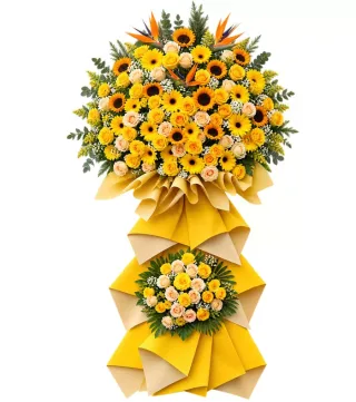 Kệ hướng dương hai tầng