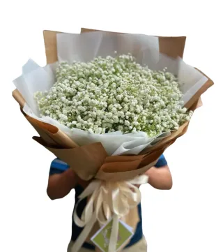 Bó baby trắng giấy kraft