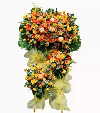 Kệ khai trương cam phối vàng