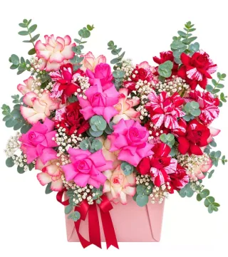 Hộp hồng phối lan hồng