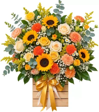 Hộp hướng dương hồng vàng