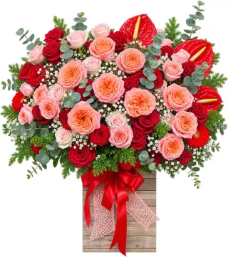 Hộp hồng cam hồng đỏ