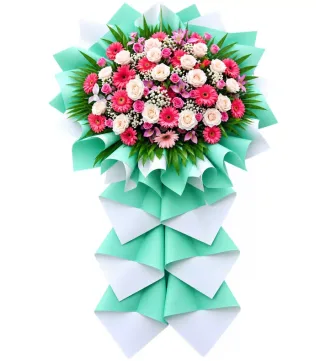 Kệ hồng phấn giấy xanh