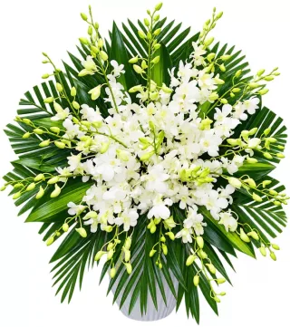 Giỏ hoa viếng lan trắng