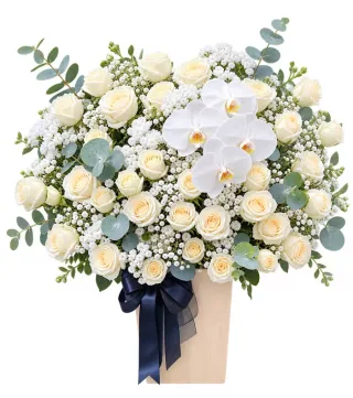 Hộp hoa viếng hồng lan trắng