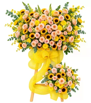 Kệ hướng dương hồng phấn