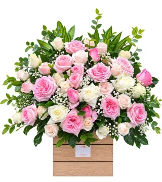 Hộp hồng phấn trắng