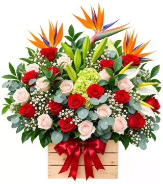 Hộp hồng đỏ ly trắng
