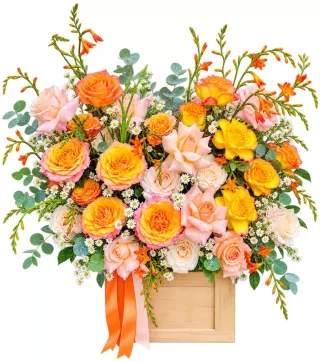 Hộp hồng cam phối lan