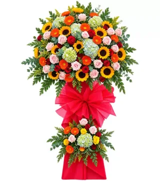 Kệ hướng dương hai tầng