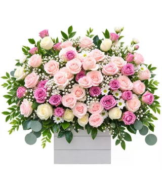 Hộp hồng phấn phối cát tường