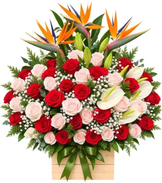 Hộp hồng đỏ thiên điểu
