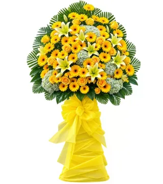 Kệ hoa vàng hướng dương