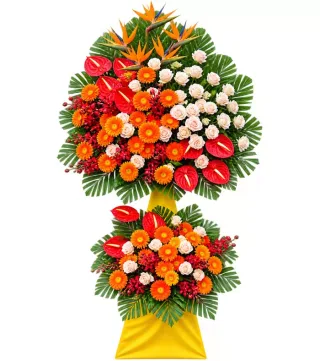 Kệ hoa đỏ cam thiên điểu