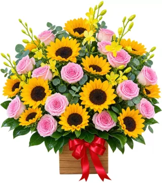 Hộp hướng dương hồng phấn